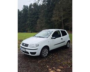 Fiat Fiat Punto 1.2 Tuv noch 1 Jahr Gebrauchtwagen