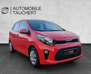 Kia Kia Picanto Edition 7 wenig KM 1. Hand Sitzhzg Lkr Gebrauchtwagen