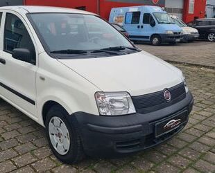 Fiat Fiat Panda 1.1 8V Active-Servolenkung- erst 39 TKM Gebrauchtwagen