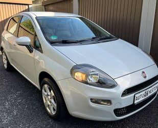 Fiat Fiat Punto More 1.2 * Guter Zustand * Klima * TüvN Gebrauchtwagen