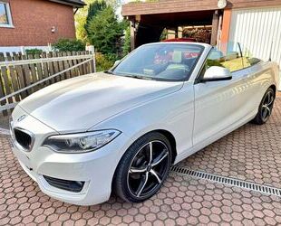 BMW BMW 218d Cabrio HIFI Lenkradhzg Gebrauchtwagen