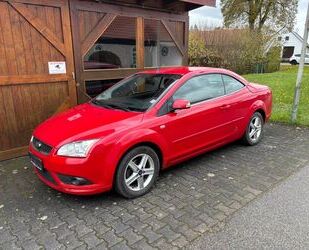 Ford Ford Focus Cabrio Trend 2.Hand Klima Sitzh.Alu WR Gebrauchtwagen