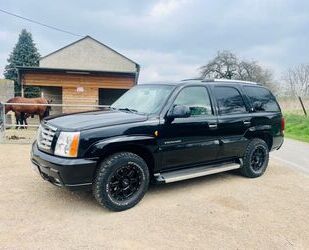 Cadillac Cadillac Escalade 6.0L / GMT800 Gebrauchtwagen