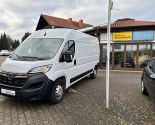 Opel Opel Movano C Kasten L3H2 3,5t Edition Gebrauchtwagen