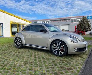 VW Volkswagen Beetle 2.0 TSI DSG Sport Exclusive 8-Fa Gebrauchtwagen