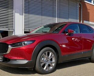 Mazda Mazda CX-30 Selection 122PS + Des-P. +Act-P.+Bose Gebrauchtwagen