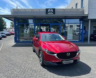 Mazda Mazda CX-30 SKYACTIV-X 2.0 M Hybrid SELECTION A18- Gebrauchtwagen