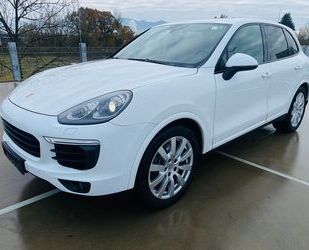 Porsche Porsche Cayenne Diesel-Pl.Edition-Panorama-BOSE-AH Gebrauchtwagen