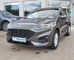 Ford Ford Kuga 4x4 Aut EcoBlue ST Line X *ACC/B&O/Front Gebrauchtwagen