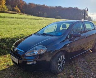 Fiat Fiat Punto 1.2 8V Start&Stopp Active Active Gebrauchtwagen