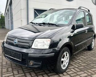 Fiat Fiat Panda 1.2 8V Dynamic Gebrauchtwagen