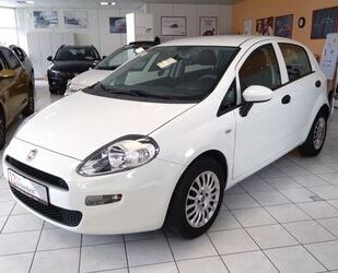 Fiat Fiat Punto 5-türig 1.2 8V MyStyle Klima Parkpilot Gebrauchtwagen