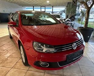 VW Volkswagen Eos Basis Gebrauchtwagen