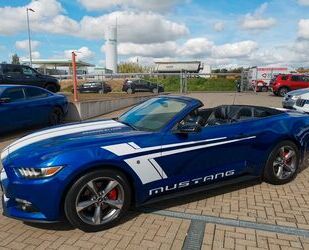 Ford Ford Mustang -3,7L-V6-Cabrio-Kamera-Automatik-BRC- Gebrauchtwagen