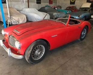 Austin Healey Austin Healey 3000 BN7 mkI (2 places) Gebrauchtwagen