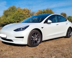 Tesla Tesla Model 3 Standard-Reichweite Plus - Hinterrad Gebrauchtwagen