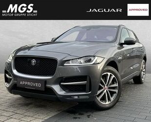 Jaguar Jaguar F-Pace 30d R-Sport AWD ACC AHK Gebrauchtwagen