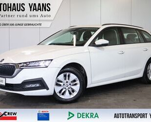 Skoda Skoda Octavia 2.0 TDI DSG Ambition AID+FRONT+LED+A Gebrauchtwagen