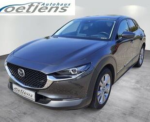 Mazda Mazda CX-30 Selection 122 PS Schalter *Design-Pake Gebrauchtwagen