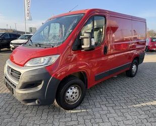 Fiat Fiat Ducato L1H1 ALLWETTER,TÜV NEU,ZAHNRIEMEN NEU Gebrauchtwagen