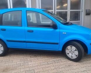 Fiat Fiat Panda Gebrauchtwagen