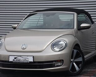 VW Volkswagen Beetle Cabriolet Exclusive Design Gebrauchtwagen