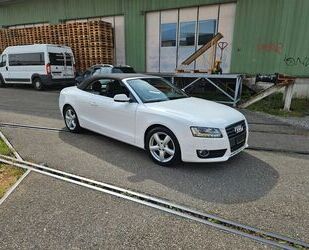 Audi Audi A5 2.0 TDI (DPF) Cabriolet - Gebrauchtwagen