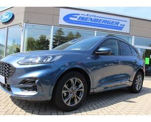 Ford Ford Kuga 1.5 ST-Line X LED AHK Kamera B&O Gebrauchtwagen