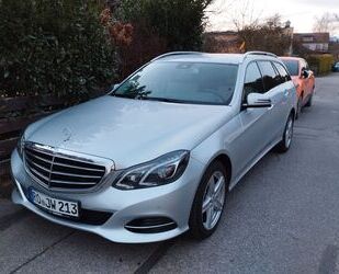 Mercedes-Benz Mercedes-Benz E 250 BlueTEC 4MATIC T Autom. - Gebrauchtwagen