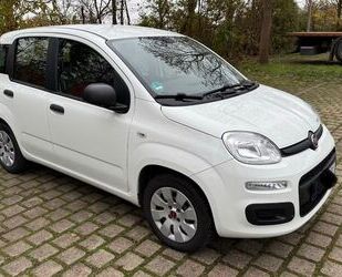 Fiat Fiat 1.2 Mystyle Klima Gebrauchtwagen