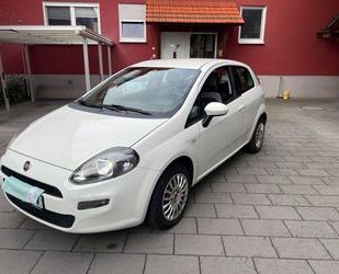 Fiat Fiat Punto - 199 Gebrauchtwagen