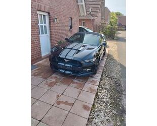 Ford Ford 3.7 V 6 Gebrauchtwagen