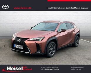 Lexus Lexus UX 300h F-Sport Design Gebrauchtwagen