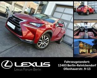 Lexus Lexus NX300h E-FOUR Executive-Line Gebrauchtwagen