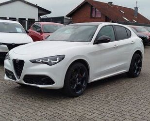 Alfa Romeo Alfa Romeo Stelvio Tributo Italiano #ACC #CarPlay Gebrauchtwagen