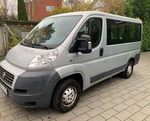 Fiat Fiat Ducato Kombi 33 115, L1 H1 Gebrauchtwagen