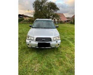 Subaru Subaru Forester 2.0X Active Active Gebrauchtwagen