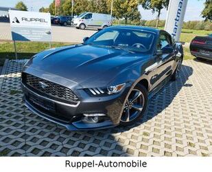 Ford Ford Mustang 3,7L V6 Automatik Leder Xenon R-CAM L Gebrauchtwagen