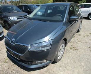 Skoda Skoda Fabia Active+WR Gebrauchtwagen