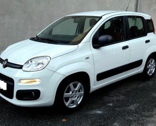 Fiat Fiat PANDA 1.2/Klima/PDC/Alu/Zahnriemen Neu Gebrauchtwagen