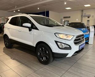 Ford Ford ECOSPORT COOL&CONNECT 1.0EB-KLIMA|KAMERA|NAVI Gebrauchtwagen