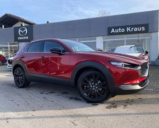 Mazda Mazda CX-30 e-SKYACTIV-G 150 HOMURA Kamera Gebrauchtwagen