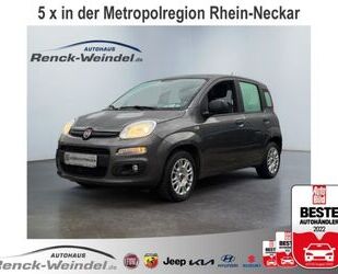 Fiat Fiat Panda 1.2 Easy Klima Radio MP3 Nebelscheinwer Gebrauchtwagen