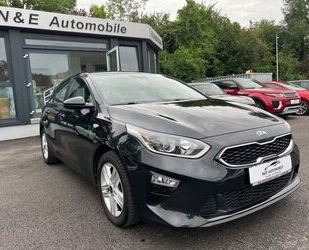 Kia Kia ceed / Ceed Gebrauchtwagen