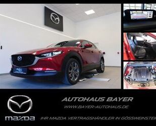 Mazda Mazda CX-30 SKY-X 2.0 Selection AWD /360°Kamera/BO Gebrauchtwagen