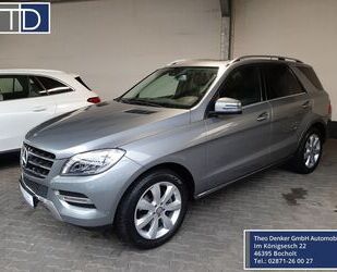 Mercedes-Benz Mercedes-Benz ML 250 Bluetec 4M AHK Kamera Schiebe Gebrauchtwagen