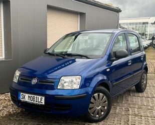 Fiat Fiat Panda 1.2 8V Dynamic KLIMA*NEU TÜV*SERVICE Gebrauchtwagen