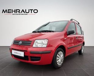 Fiat Fiat Panda 1.2 8V Dynamic KLIMA/TÜV NEU/ 8FACH Gebrauchtwagen