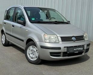 Fiat Fiat Panda 1.2 8V Dynamic*Allwetterreife *49TKM Gebrauchtwagen