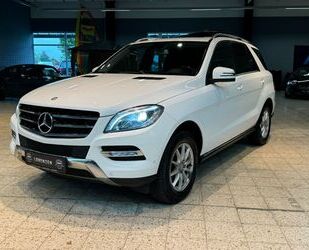 Mercedes-Benz Mercedes-Benz ML 350 Bi-Xenon ILS Luft Ambiente Le Gebrauchtwagen